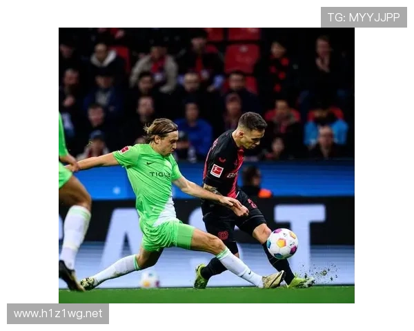 维尔茨大赛表现稳定性分析